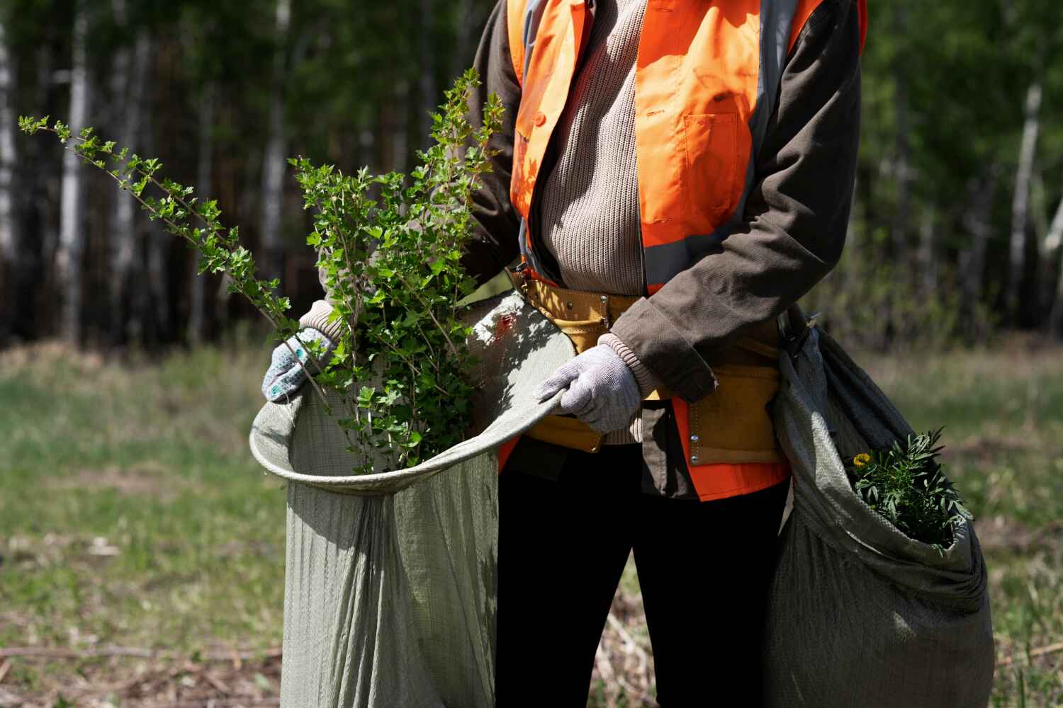 Best Tree Stump Removal  in Grenelefe, FL